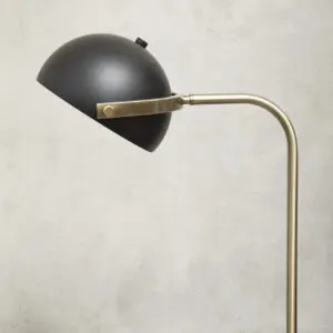 Seraphina Floor Lamp With Black Shade